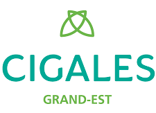 Logo Cigale Grand-Est courtier solidaire