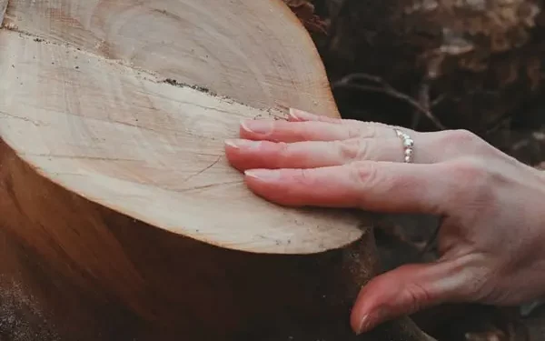 Femme travaillant un cercueil en bois dans les Vosges (Lorraine)